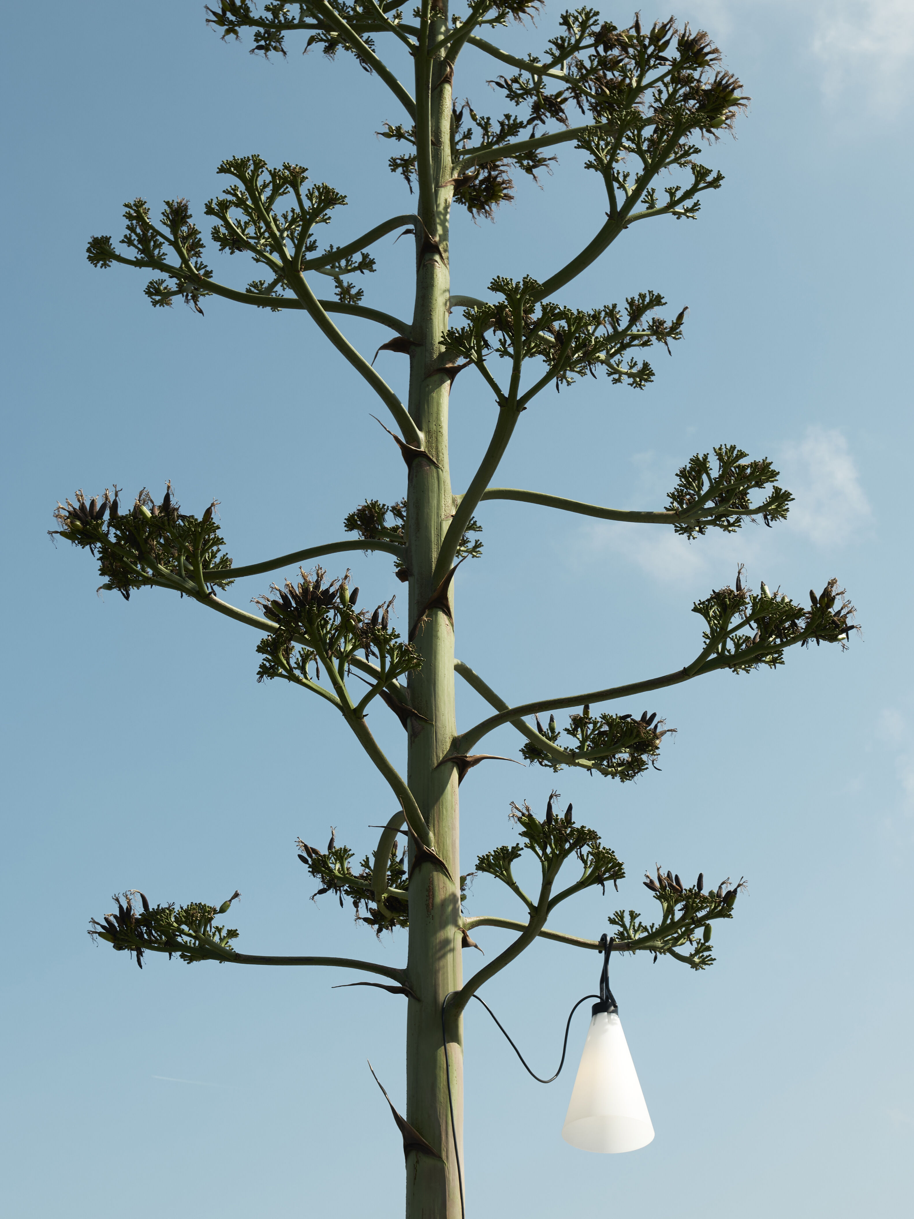 Flos Presents Mayday Outdoor | Flos